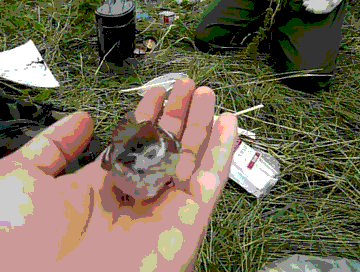 Name:  testFFGif2.gif
Views: 8180
Size:  5.46 MB