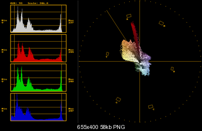 Click image for larger version

Name:	Scene 1 - RGB Histogram and Vscope.png
Views:	821
Size:	58.1 KB
ID:	25973