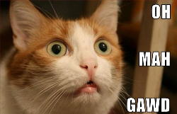 Name:  CCAT6.JPG
Views: 1822
Size:  9.0 KB