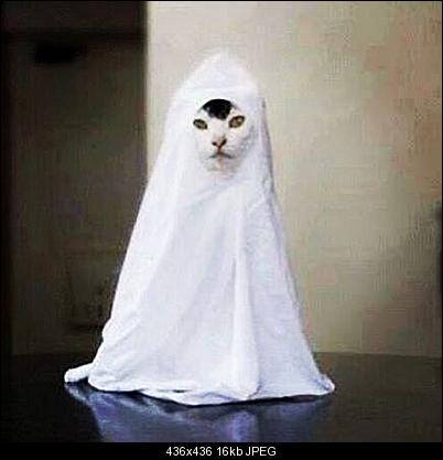 Click image for larger version

Name:	ghostcc.jpg
Views:	791
Size:	16.4 KB
ID:	26128