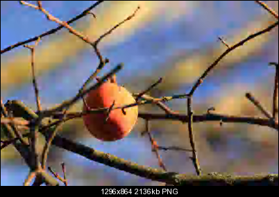 Click image for larger version

Name:	fruits_low4.png
Views:	843
Size:	2.09 MB
ID:	26393