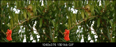 Click image for larger version

Name:	lowpass.gif
Views:	242
Size:	1.47 MB
ID:	26408