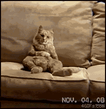 Name:  CAT_DANCE.gif
Views: 989
Size:  1.85 MB