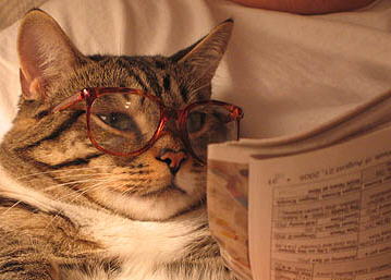 Name:  CCAT13.JPG
Views: 826
Size:  20.6 KB