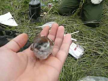 Name:  ag-plugintest5.gif
Views: 6828
Size:  11.02 MB