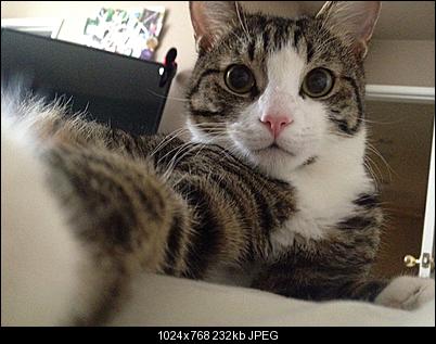 Click image for larger version

Name:	selfie.jpg
Views:	185
Size:	232.2 KB
ID:	26949