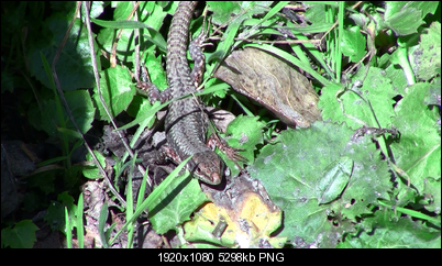 Click image for larger version

Name:	OPENGL.png
Views:	1070
Size:	5.17 MB
ID:	27020