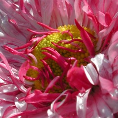 Name:  color.jpg
Views: 455
Size:  36.2 KB