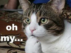 Name:  oh-my-word.jpg
Views: 1119
Size:  10.6 KB