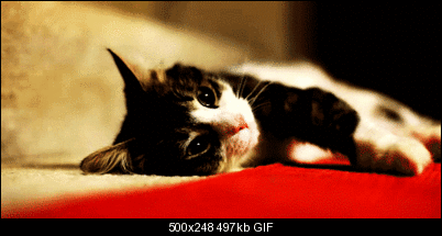 Click image for larger version

Name:	anigif_enhanced-buzz-21905-1323304483-8.gif
Views:	621
Size:	496.9 KB
ID:	27202