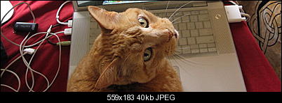 Click image for larger version

Name:	CCAT11.jpg
Views:	701
Size:	40.4 KB
ID:	27209