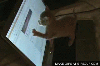 Name:  computer-cat-o.gif
Views: 236
Size:  1.06 MB