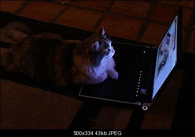 Click image for larger version

Name:	tumblr_lzm3ujf5f11qzm4fyo1_500.jpg
Views:	205
Size:	42.5 KB
ID:	27231