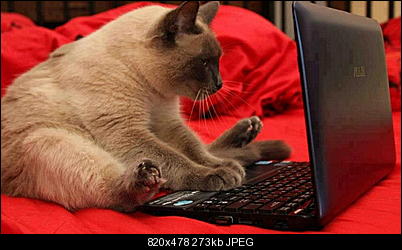 Click image for larger version

Name:	CCAT5a.jpg
Views:	204
Size:	273.1 KB
ID:	27587
