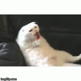 Name:  reFkHR0.gif
Views: 1275
Size:  1.17 MB