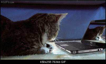 Click image for larger version

Name:	computercat.gif
Views:	334
Size:	762.8 KB
ID:	27687