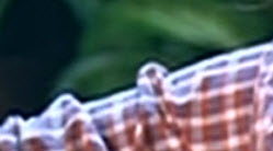 Name:  8-10-2014 - Wednesday 1-31-32 AM.jpg
Views: 604
Size:  7.4 KB