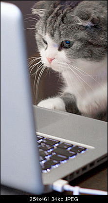 Click image for larger version

Name:	CCAT5.jpg
Views:	184
Size:	34.0 KB
ID:	27951