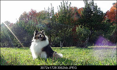 Click image for larger version

Name:	DSC00594.JPG
Views:	18
Size:	2.99 MB
ID:	28064