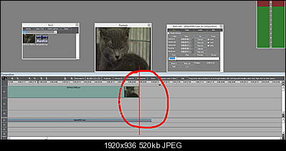 Click image for larger version

Name:	CATLE.jpg
Views:	312
Size:	519.6 KB
ID:	28110