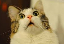 Name:  SURPC.jpg
Views: 334
Size:  23.0 KB
