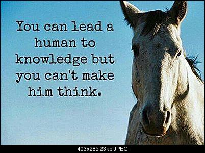 Click image for larger version

Name:	Horse_no_Think.jpg
Views:	2019
Size:	22.8 KB
ID:	28751