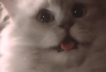 Name:  86m0PzL.gif
Views: 1318
Size:  570.1 KB