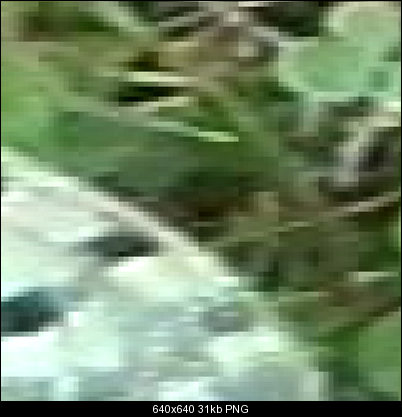 Click image for larger version

Name:	field.png
Views:	2039
Size:	30.9 KB
ID:	28844