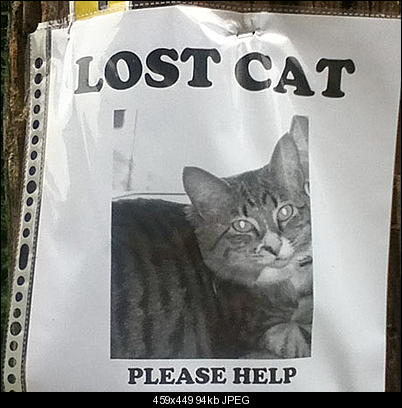 Click image for larger version

Name:	LOSTVCA.jpg
Views:	467
Size:	94.2 KB
ID:	28863