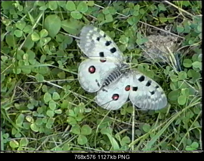 Click image for larger version

Name:	vlcsnap-2014-11-28-17h23m53s101.png
Views:	317
Size:	1.10 MB
ID:	28877