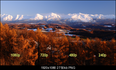 Click image for larger version

Name:	LandscapeDemo-1080+720+480+240-SbScomparison.png
Views:	2449
Size:	2.69 MB
ID:	28979