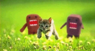 Name:  出力2.gif
Views: 180
Size:  302.5 KB