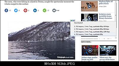 Click image for larger version

Name:	downlIDM.jpg
Views:	433
Size:	162.9 KB
ID:	29146