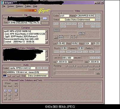 Click image for larger version

Name:	scene5-gspot-screenshot.JPG
Views:	339
Size:	79.8 KB
ID:	292
