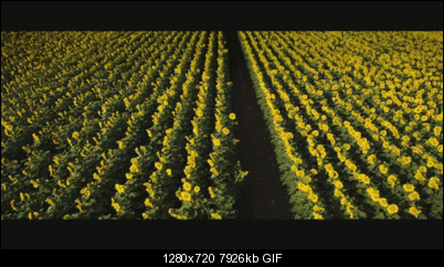 Click image for larger version

Name:	title.gif
Views:	373
Size:	7.74 MB
ID:	29915