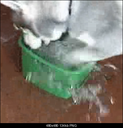 Click image for larger version

Name:	xvid.png
Views:	1356
Size:	134.0 KB
ID:	3012