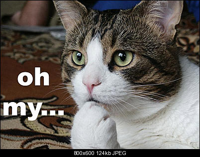 Click image for larger version

Name:	ohmy.jpg
Views:	990
Size:	124.1 KB
ID:	30467