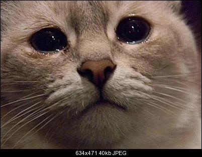 Click image for larger version

Name:	poor.jpg
Views:	412
Size:	39.9 KB
ID:	30490