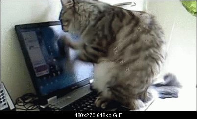 Click image for larger version

Name:	computer-and-cat-o.gif
Views:	2566
Size:	618.3 KB
ID:	30850