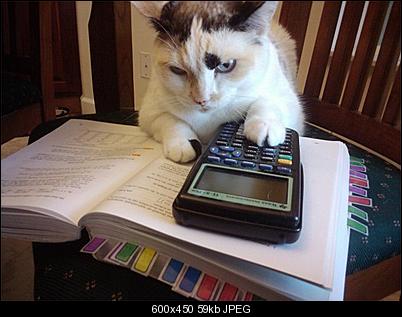 Click image for larger version

Name:	calculatorcat.jpg
Views:	760
Size:	59.1 KB
ID:	31007