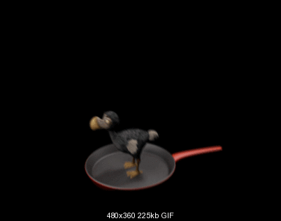 Click image for larger version

Name:	flipping_bird01.gif
Views:	435
Size:	224.9 KB
ID:	31080