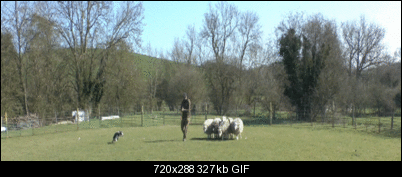 Click image for larger version

Name:	Interline_Twitter.gif
Views:	622
Size:	327.2 KB
ID:	31415