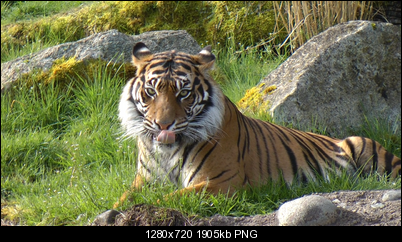 Click image for larger version

Name:	298 slower.png
Views:	1120
Size:	1.86 MB
ID:	31583