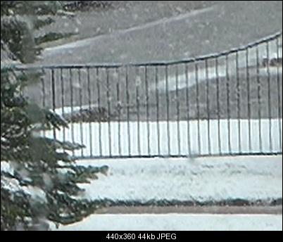 Click image for larger version

Name:	fence-interlaced-PNG-QTGMC1_200.jpg
Views:	2323
Size:	43.9 KB
ID:	31842