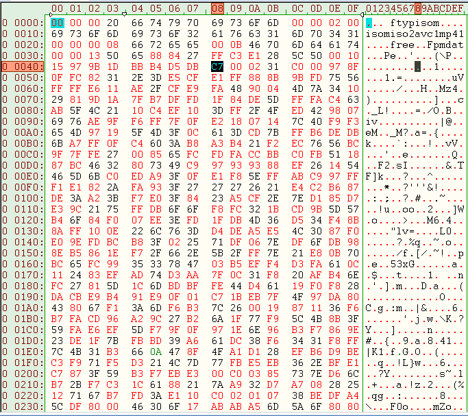 MP4 Header Information In Its Binary - VideoHelp Forum