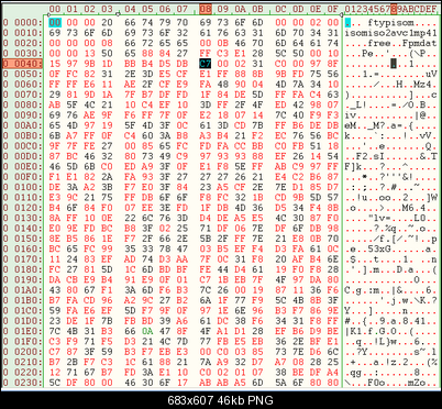 Click image for larger version

Name:	mp4-hexedit.png
Views:	1672
Size:	45.8 KB
ID:	32050