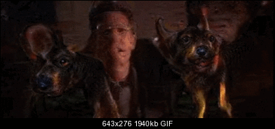 Click image for larger version

Name:	687474703a2f2f6d656469612e67697068792e636f6d2f6d656469612f6c34316c52783932517173495879354d492f67.gif
Views:	430
Size:	1.89 MB
ID:	32557