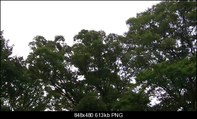 Click image for larger version

Name:	2pass1000kbps000038.png
Views:	431
Size:	613.4 KB
ID:	32567
