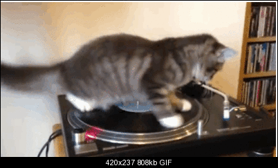 Click image for larger version

Name:	Im-a-DJ.gif
Views:	213
Size:	807.7 KB
ID:	34710