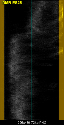 Click image for larger version

Name:	Levels_DMR-ES25.PNG
Views:	2759
Size:	72.5 KB
ID:	35614